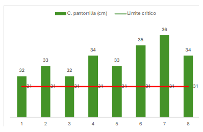 Captura de pantalla 2025-12-19 125711