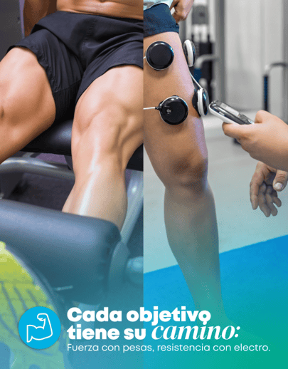 Captura de pantalla 2026-01-20 120639