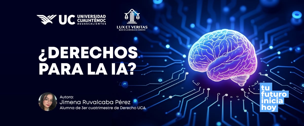 https://21155268.fs1.hubspotusercontent-na1.net/hubfs/21155268/portadas%20blog%20-02_derechos%20para%20la%20ia.jpg