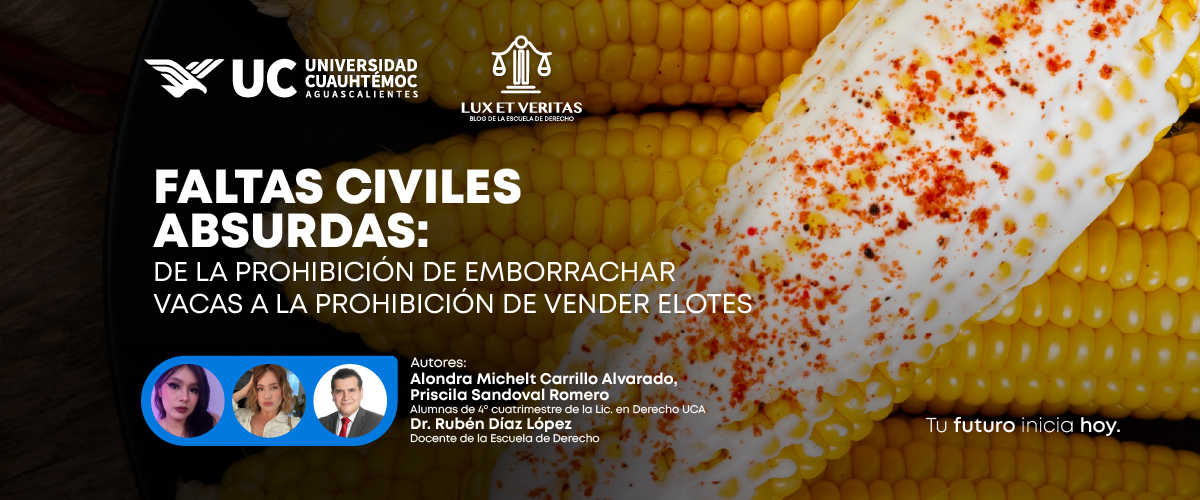 https://21155268.fs1.hubspotusercontent-na1.net/hubfs/21155268/portadas%20blog_faltas%20civiles.jpg